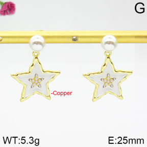 Fashion Copper Earrings  F2E300237bbov-J48