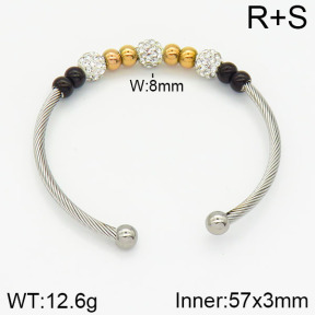 Stainless Steel Bangle  2BA400625vbnb-387
