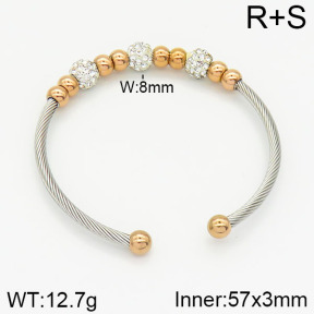 Stainless Steel Bangle  2BA400626vbnb-387