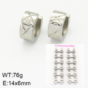 Stainless Steel Earrings  2E2001155akia-387