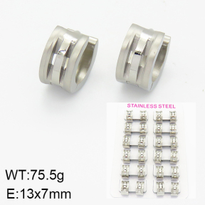 Stainless Steel Earrings  2E2001157akia-387