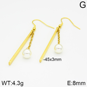 Stainless Steel Earrings  2E3000926vbnl-628