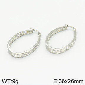 Stainless Steel Earrings  2E4001560bhia-387