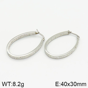 Stainless Steel Earrings  2E4001561vhha-387