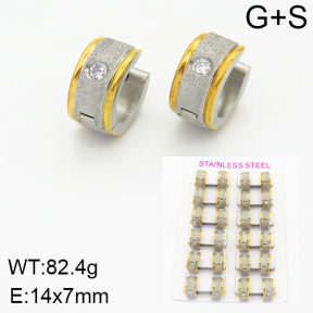 Stainless Steel Earrings  2E4001563amaa-387