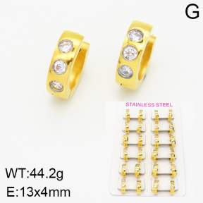 Stainless Steel Earrings  2E4001564bnib-387