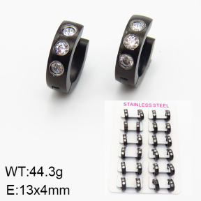 Stainless Steel Earrings  2E4001565bnib-387