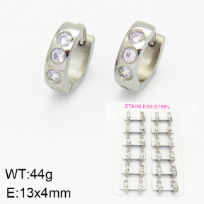 Stainless Steel Earrings  2E4001566amaa-387