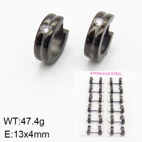 Stainless Steel Earrings  2E4001567amaa-387