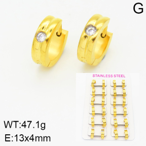 Stainless Steel Earrings  2E4001568amaa-387