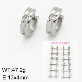 Stainless Steel Earrings  2E4001569akoa-387