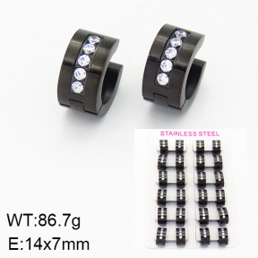 Stainless Steel Earrings  2E4001571bpmb-387