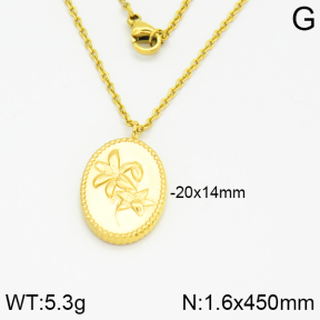 Stainless Steel Necklace  2N2001736vbpb-666