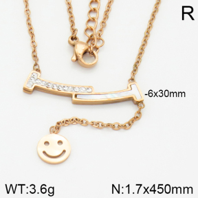 Stainless Steel Necklace  2N4001091bhia-473