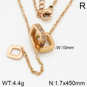 Stainless Steel Necklace  2N4001097ahjb-473