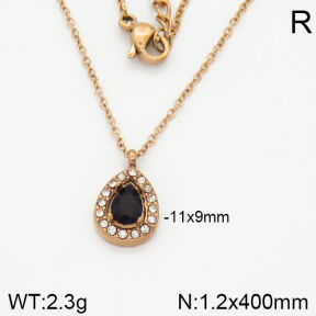 Stainless Steel Necklace  2N4001115bhva-473