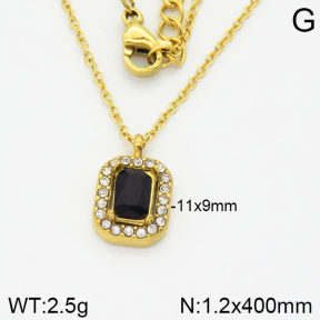 Stainless Steel Necklace  2N4001120vbpb-473
