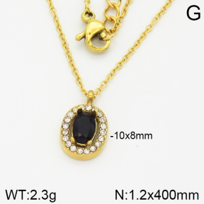 Stainless Steel Necklace  2N4001123vbpb-473