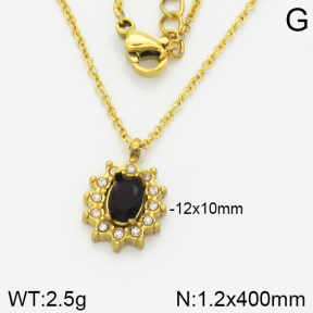 Stainless Steel Necklace  2N4001129vbpb-473