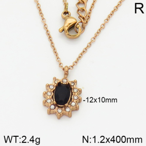 Stainless Steel Necklace  2N4001130bhva-473