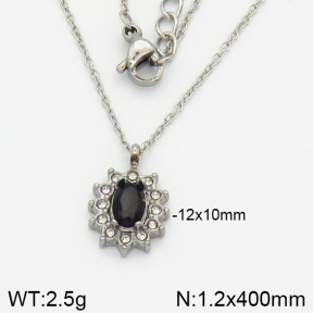 Stainless Steel Necklace  2N4001131vbnb-473