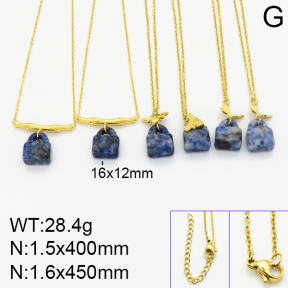 Stainless Steel Necklace  2N4001143bnib-666