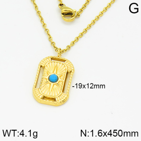 Stainless Steel Necklace  2N4001150bhva-666