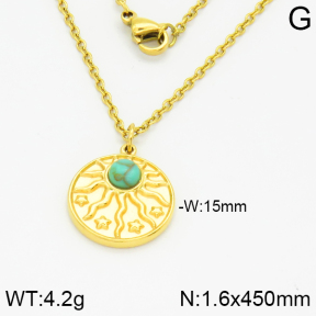 Stainless Steel Necklace  2N4001151bhva-666