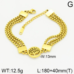 Stainless Steel Bracelet  2B2001446vbpb-434