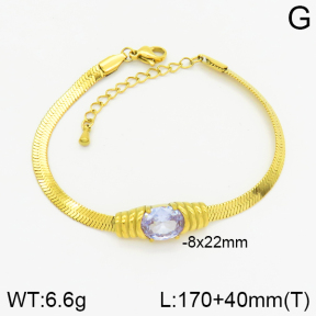 Stainless Steel Bracelet  2B4001745abol-669