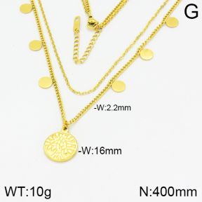 Stainless Steel Necklace  2N2001755vhha-669