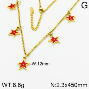 Stainless Steel Necklace  2N3000752bbov-434