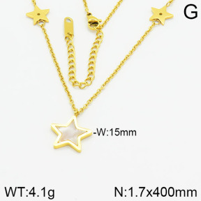 Stainless Steel Necklace  2N4001162vbnl-434