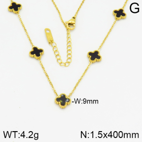 Stainless Steel Necklace  2N4001180bhva-669