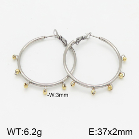 Stainless Steel Earrings  5E2001743bhva-722
