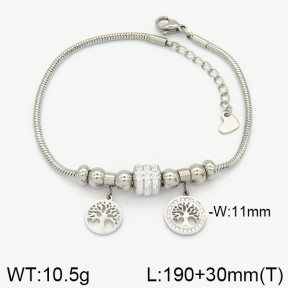 Stainless Steel Bracelet  2B4001756ahlv-743