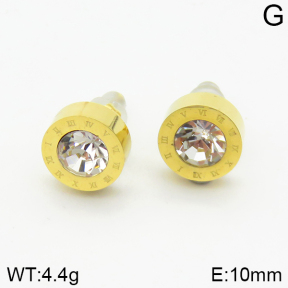 Stainless Steel Earrings  2E4001572bbml-743
