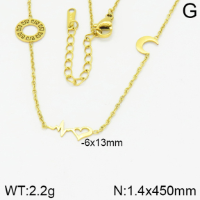 Stainless Steel Necklace  2N2001766vhha-743