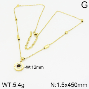 Stainless Steel Necklace  2N4001226ahjb-743