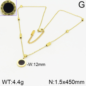 Stainless Steel Necklace  2N4001227ahjb-743