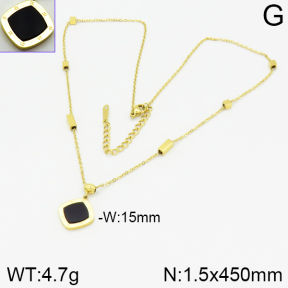 Stainless Steel Necklace  2N4001228ahjb-743