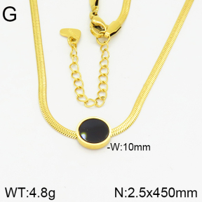 Stainless Steel Necklace  2N4001233bhia-743