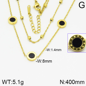 Stainless Steel Necklace  2N4001234vhkb-743