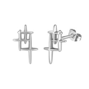 Stainless Steel Earrings  6E4003399aahn-691  PE346