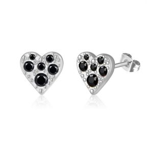 Stainless Steel Earrings  6E4003575vail-691  PE378K