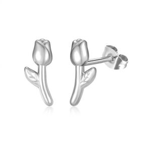 Stainless Steel Earrings  6E4003579aahj-691  PE379