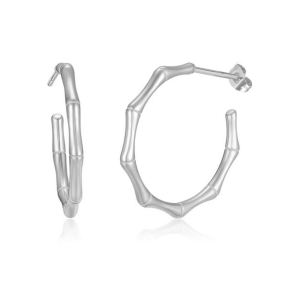 Stainless Steel Earrings  6E4003581aaji-691  PE380