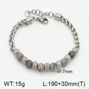 Stainless Steel Bracelet  5B4001288bhia-741