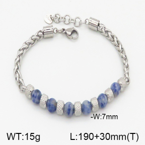 Stainless Steel Bracelet  5B4001290bhia-741