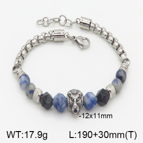 Stainless Steel Bracelet  5B4001315ahjb-741